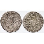 Zygmunt I Stary, Grosz Kraków 1527-1529 - zestaw (2szt)