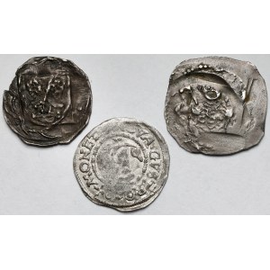 Niemcy, Regensburg i Mecklenburg, Denary bez daty (1246-1409) i Dreiling 1528 - zestaw (3szt)