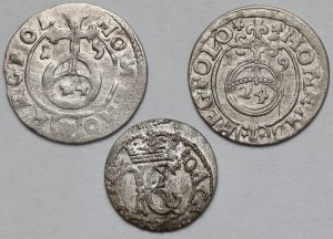 Sigismund III Vasa and John II Casimir, Half-track 1615-1619 and Vilnius 1653 Shelagh - set (3pcs)