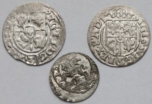 Sigismund III Vasa and John II Casimir, Half-track 1615-1619 and Vilnius 1653 Shelagh - set (3pcs)