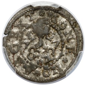 Wolne Miasto Ryga, Szeląg 1577