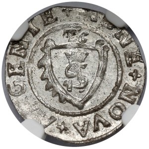 Kurlandia, Gotard Kettler, Szeląg Mitawa 1576 - PIĘKNY