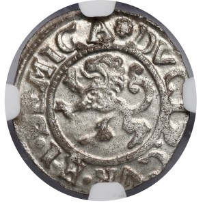 Kurlandia, Gotard Kettler, Szeląg Mitawa 1576 - PIĘKNY