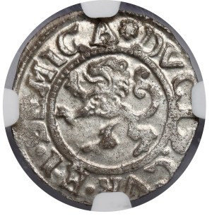 Courland, Gotard Kettler, Shelly Mithawa 1576 - BEAUTÉ
