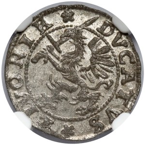 Inflanty, Szeląg Dahlen 1572 - PIĘKNY