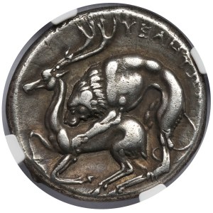 Grecja, Lucania, Velia, Nomos (~280 p.n.e.)