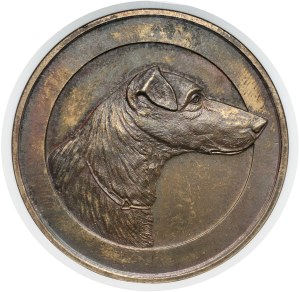 Russia, Alexander III, Prize Medal without date (1886) - Russian Society of Fox-Terriers and Dachshund Lovers