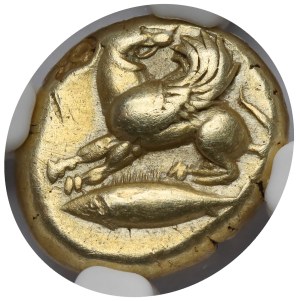 Greece, Myzia, Kyzikos, EL Hekte (550-450 BC).