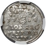 Stefan Batory, Trojak Wilno 1584 - zbroja płytowa