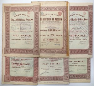 Soie Artificielle de Myszkow - various types (6pcs)