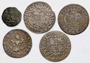 Casimir IV Jagellon - Sigismond III Vasa, du denier au demi-taler - set (5pcs)