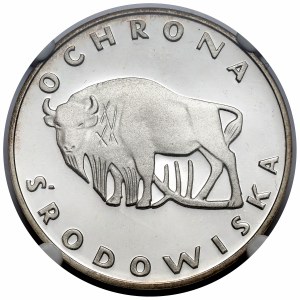 100 złotych 1977 Żubr