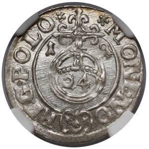Zygmunt III Waza, Półtorak Bydgoszcz 1619 - PIĘKNY