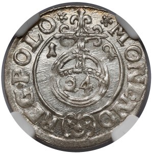 Sigismond III Vasa, Demi-piste Bydgoszcz 1619 - BEAUTÉ