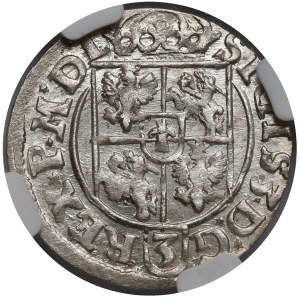 Sigismond III Vasa, Demi-piste Bydgoszcz 1619 - BEAUTÉ