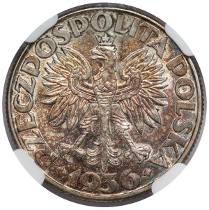 Voilier 2 or 1936