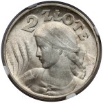 Kobieta i kłosy 2 złote 1924 Filadelfia - ODWROTKA