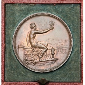 Szwajcaria, Medal 1895 - Festiwal strzelecki w Zurich