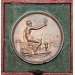 Szwajcaria, Medal 1895 - Festiwal strzelecki w Zurich