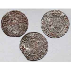 Zygmunt III Waza, Szelągi 1623-1626 - zestaw (3szt)