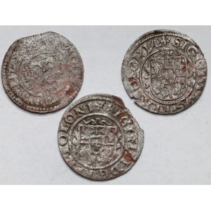 Zygmunt III Waza, Szelągi 1623-1626 - zestaw (3szt)