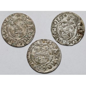 Zygmunt III Waza, Półtoraki Bydgoszcz 1620-1624 - zestaw (3szt)