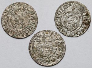Sigismond III Vasa, Demi-traces Bydgoszcz 1620-1624 - set (3pcs)