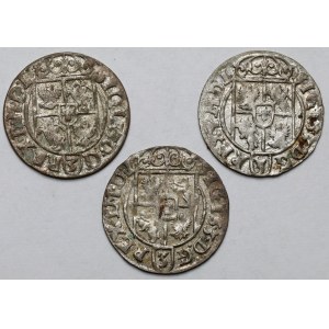 Zygmunt III Waza, Półtoraki Bydgoszcz 1620-1624 - zestaw (3szt)