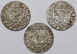 Sigismond III Vasa, Demi-traces Bydgoszcz 1620-1624 - set (3pcs)