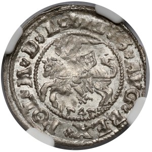 Zygmunt II August, Półgrosz Wilno 1545