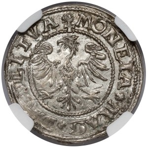 Zygmunt II August, Półgrosz Wilno 1545