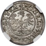 Zygmunt II August, Półgrosz Wilno 1545