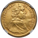 Śląsk, Philipp Ludwig von Sinzendorf, Dukat 1738 DG, Nysa