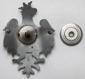 Polish Army in France, Eagle for Volunteers