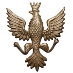 Orzeł organizacji polskich w USA