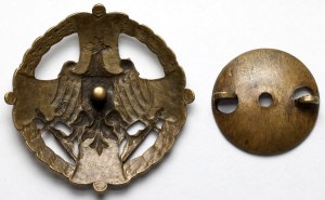 Insigne, Pour la Volhynie - Styr Horyń Słucz - 1919
