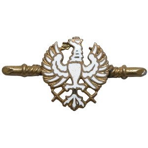 Broszka patriotyczna z orłem - okres I Wojny Światowej (?)