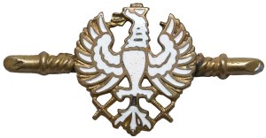 Patriotic eagle brooch - World War I period (?)