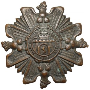Odznaka, ORLĘTA Obrońcom Kresów 1919 - wz.1