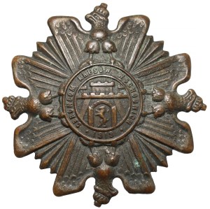 Insigne, des Aiglons aux Défenseurs des frontières 1919 - wz.1