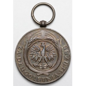 II RP, Medal za Długoletnią Służbę - Srebrny (XX)