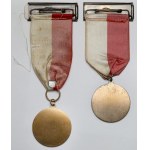 Stowarzyszenie Weteranów Armii Polskiej w USA, Medale 1949 i 1952 - zestaw (2szt)