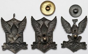 Aigles des volontaires polonais des Etats-Unis et du Canada, à l'armée polonaise en France - set (3pcs)