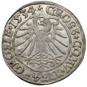 Zygmunt I Stary, Grosz Toruń 1534 - 2x data