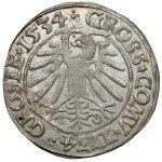 Zygmunt I Stary, Grosz Toruń 1534 - 
