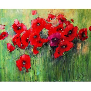 Grazyna Mucha, Poppies