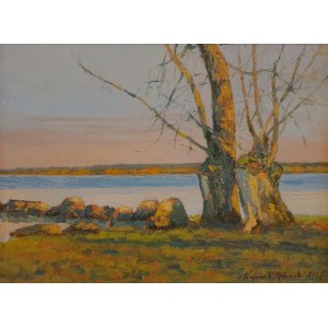 Wojciech Górecki, Landscape