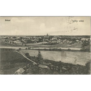 Sokal - celkový pohled, 1916
