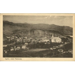 Piwniczna - Ogólny widok, ok. 1920