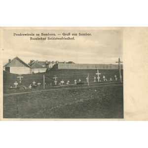 Sambor - Rosyjski cmentarz wojskowy, ok. 1915